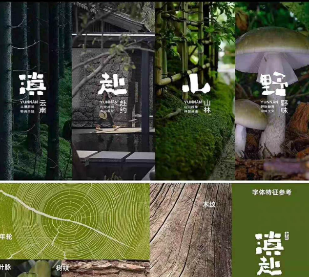 VI设计全套VIS视觉打造品牌形象设计